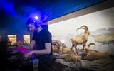 Bar der toten Tiere 2025